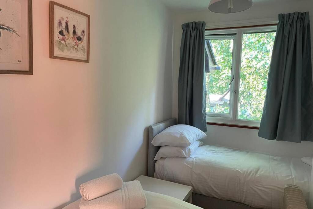 37 Strawberry Hill, Hayle Villa Dış mekan fotoğraf